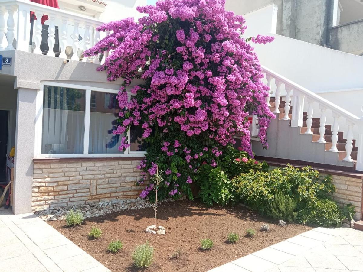 Cherish Novaglia Esterno foto